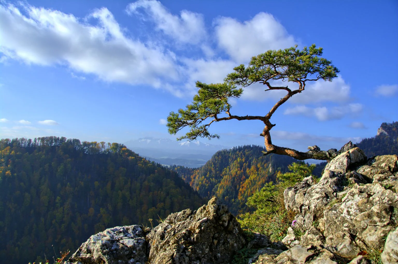 pieniny-krajobraz